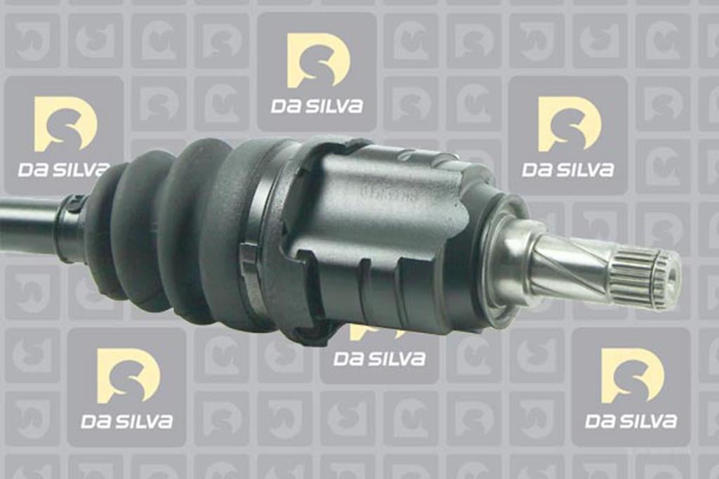 Cardan DA SILVA S.A.S. 31262T