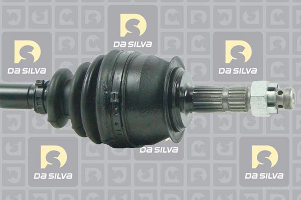 Cardan DA SILVA S.A.S. 31262T