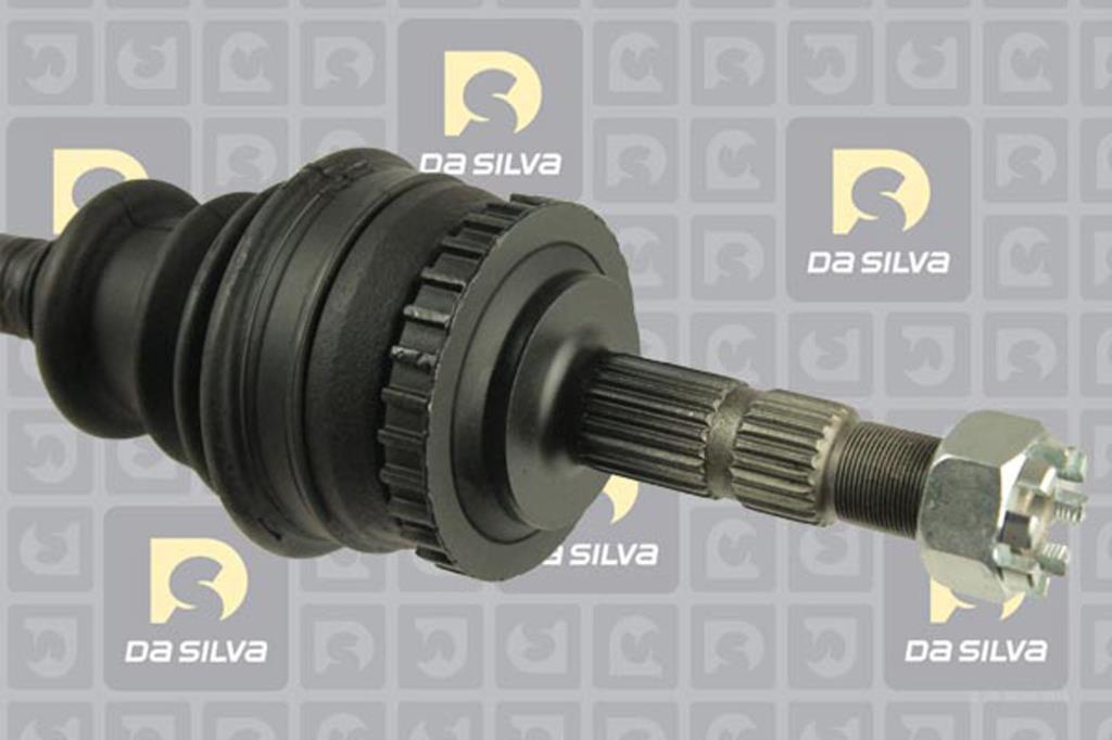 Cardan DA SILVA S.A.S. 31263AT