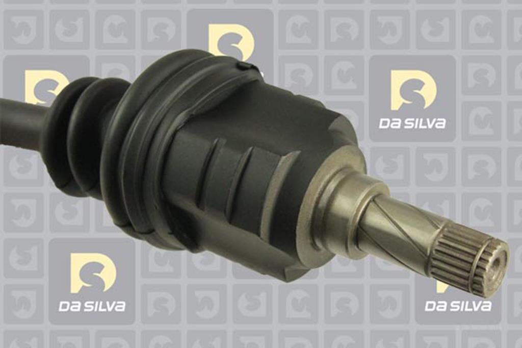 Cardan DA SILVA S.A.S. 31263AT