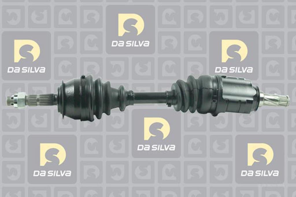 Cardan DA SILVA S.A.S. 31263T