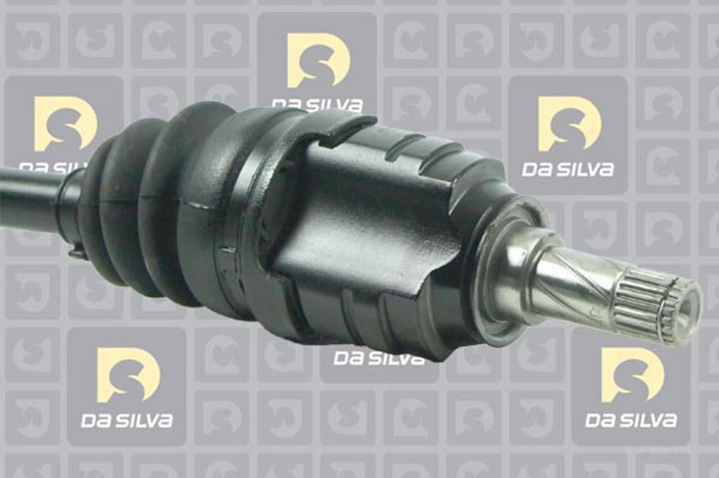 Cardan DA SILVA S.A.S. 31263T