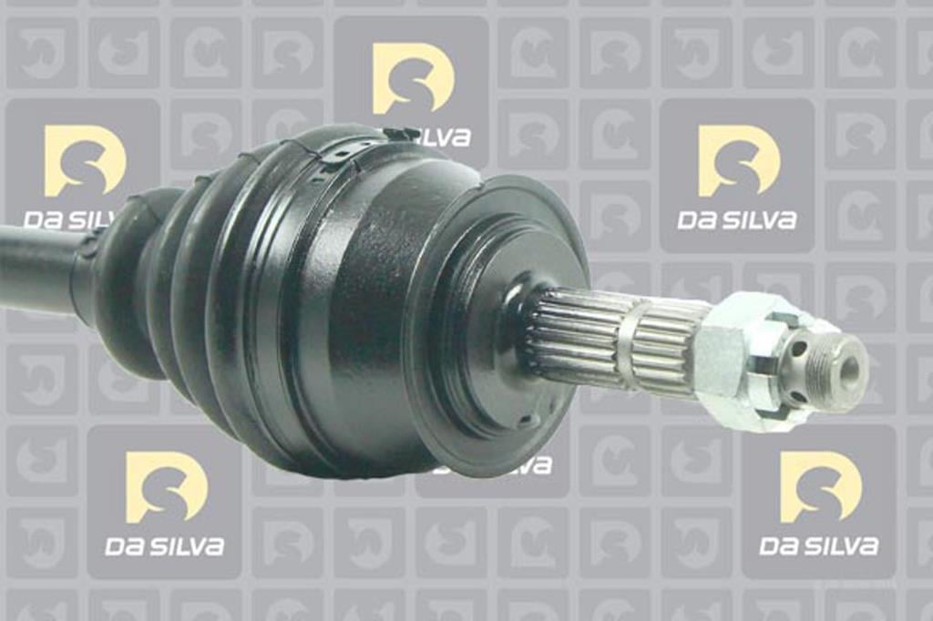Cardan DA SILVA S.A.S. 31263T