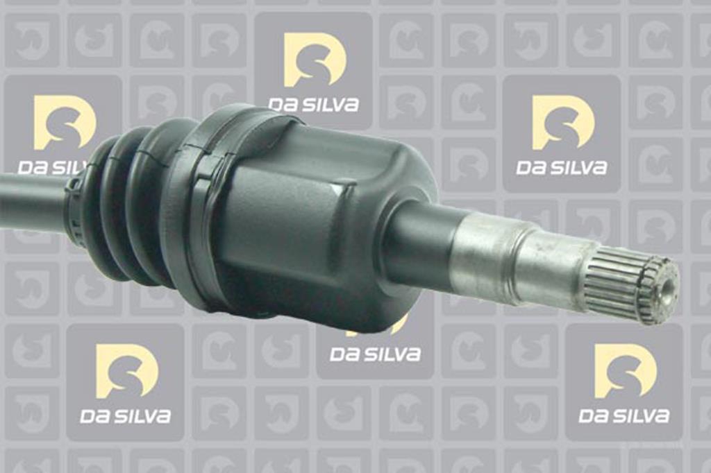 Cardã DA SILVA S.A.S. 31282AT