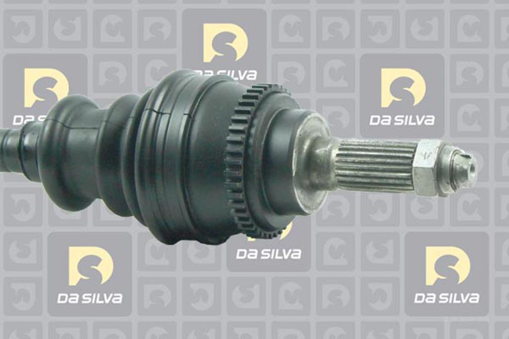 Cardã DA SILVA S.A.S. 31282AT