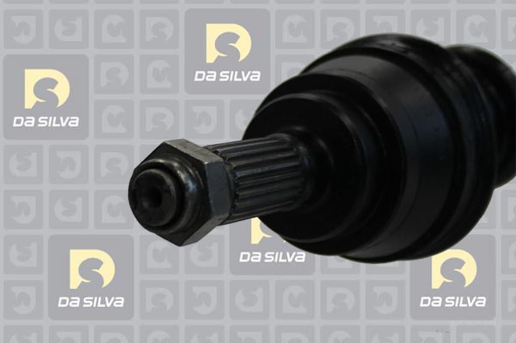 Cardan DA SILVA S.A.S. 31282T