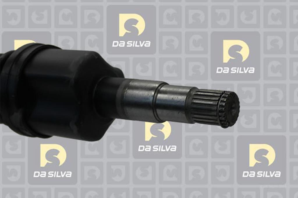 Cardan DA SILVA S.A.S. 31282T