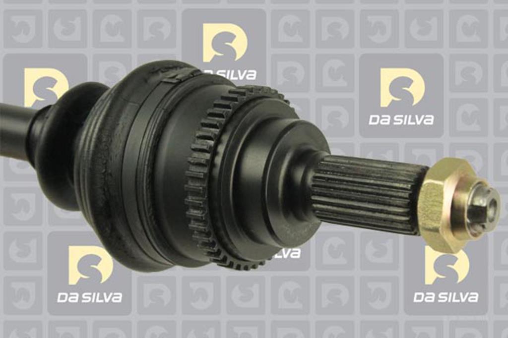Cardan DA SILVA S.A.S. 31284AT