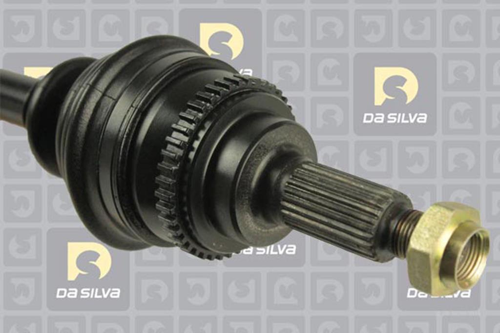 Cardan DA SILVA S.A.S. 31285AT