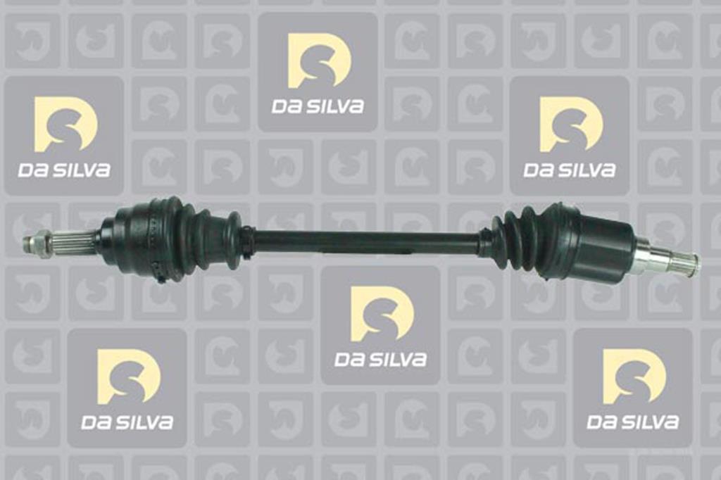 Cardan DA SILVA S.A.S. 31289T