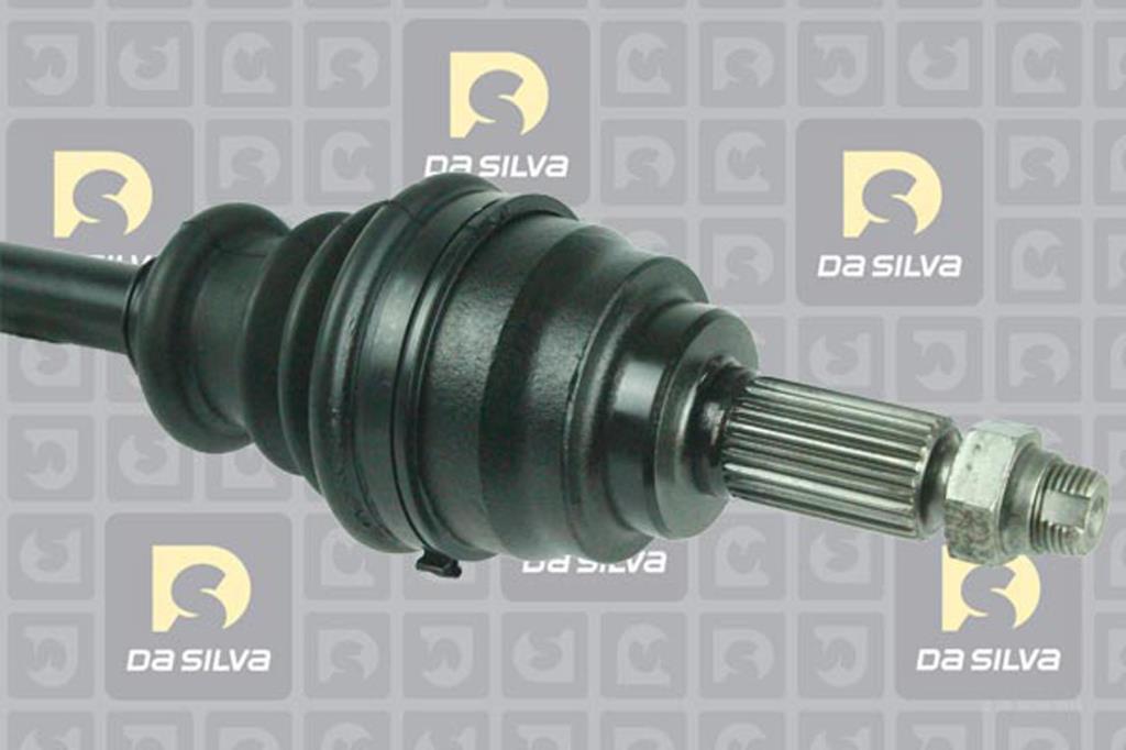 Cardan DA SILVA S.A.S. 31289T