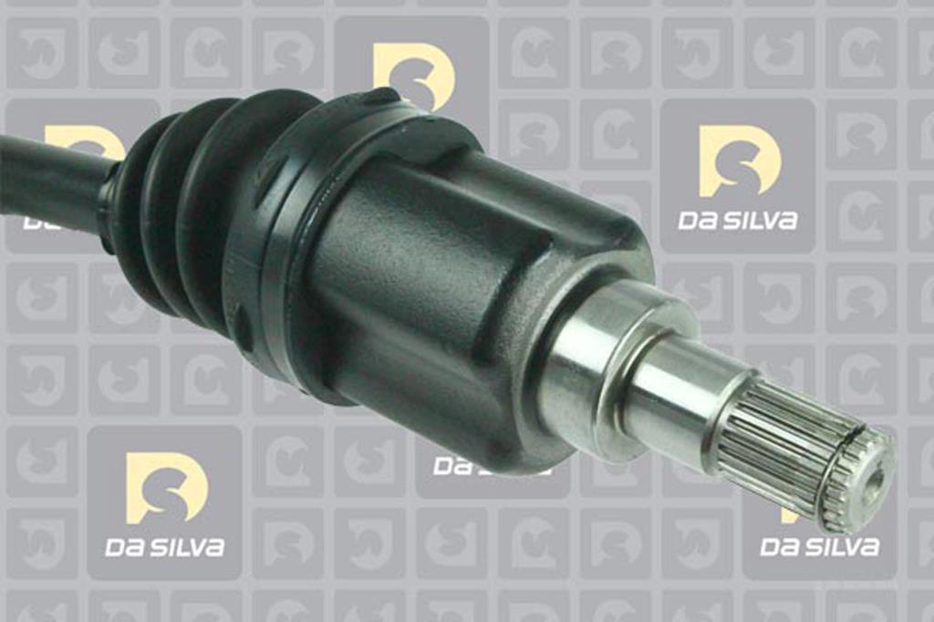 Cardan DA SILVA S.A.S. 31289T