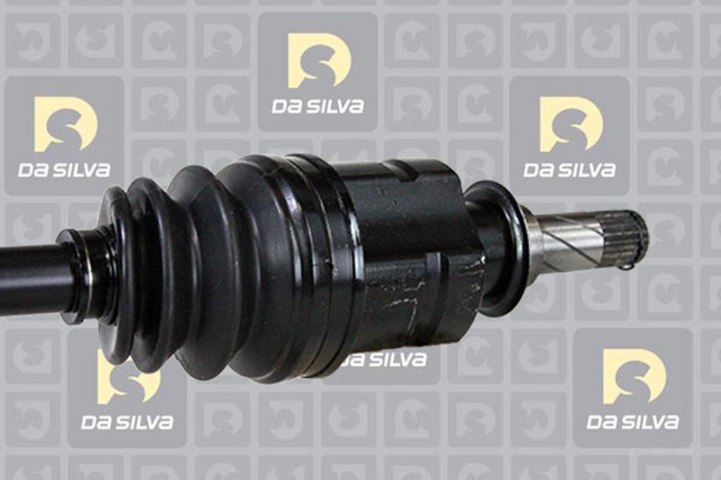 Cardan DA SILVA S.A.S. 31297T