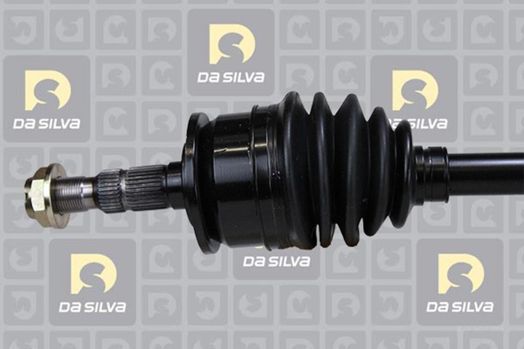 Cardan DA SILVA S.A.S. 31297T