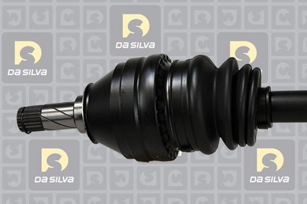 Cardã DA SILVA S.A.S. 31298T
