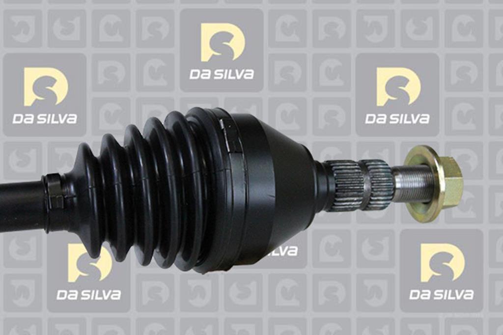 Cardán DA SILVA S.A.S. 31299T