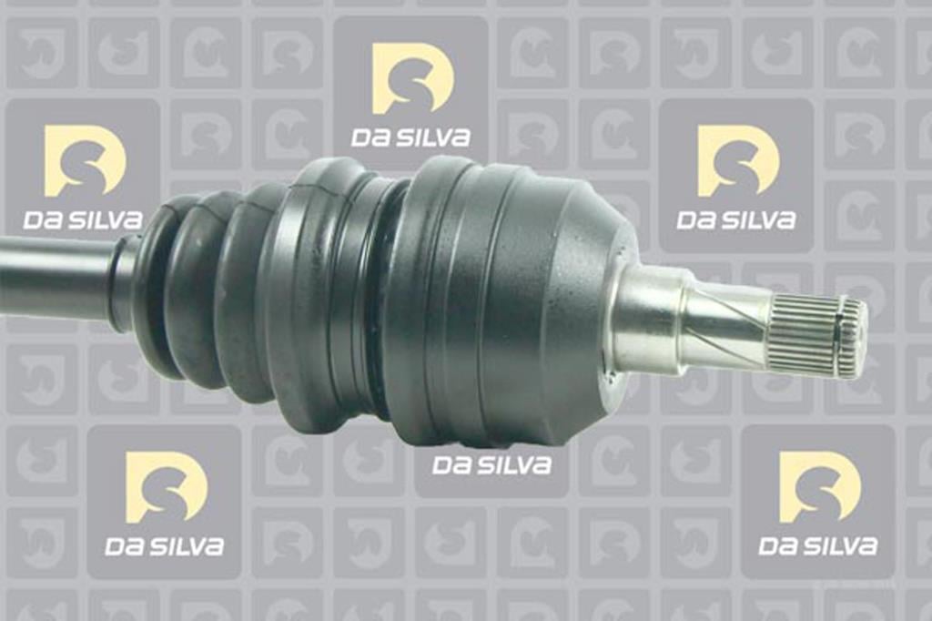Cardã DA SILVA S.A.S. 31301T