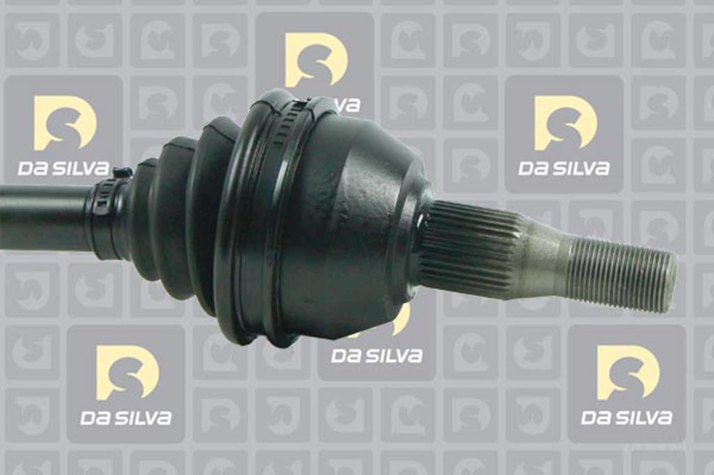 Cardã DA SILVA S.A.S. 31301T