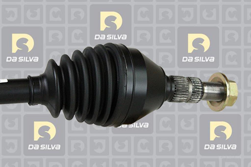 Cardã DA SILVA S.A.S. 31308T