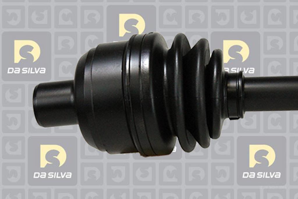 Cardã DA SILVA S.A.S. 31308T