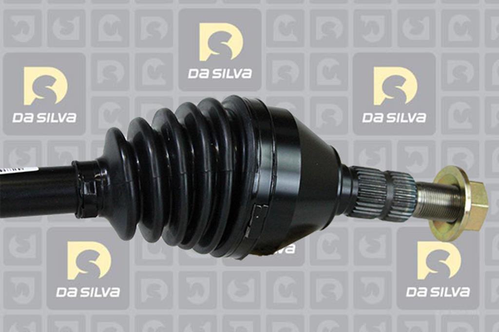 Cardan DA SILVA S.A.S. 31309T
