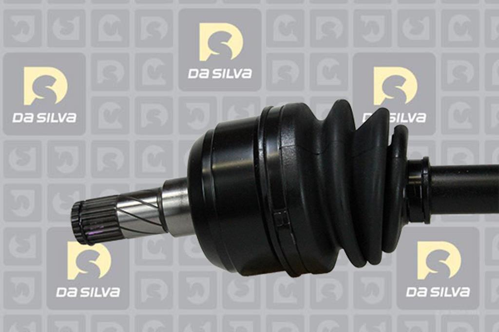 Cardan DA SILVA S.A.S. 31309T