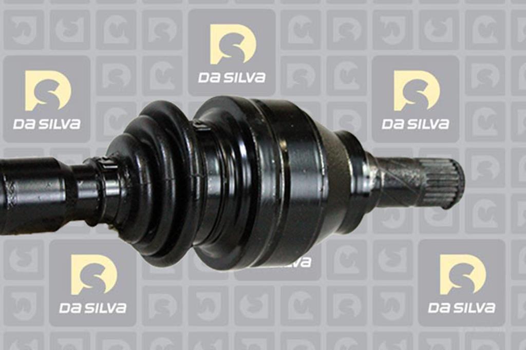 Cardã DA SILVA S.A.S. 31313T