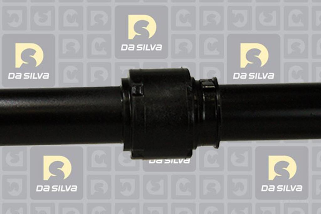 Cardã DA SILVA S.A.S. 31313T