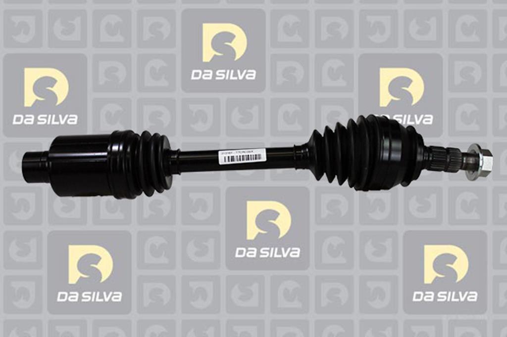 Cardan DA SILVA S.A.S. 31318T