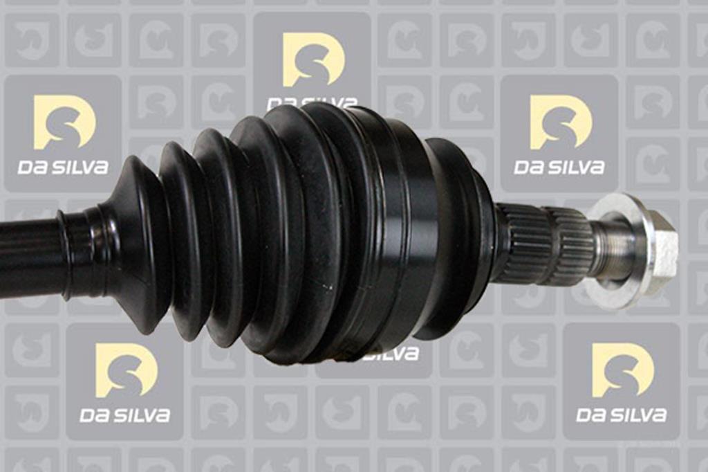 Cardan DA SILVA S.A.S. 31318T