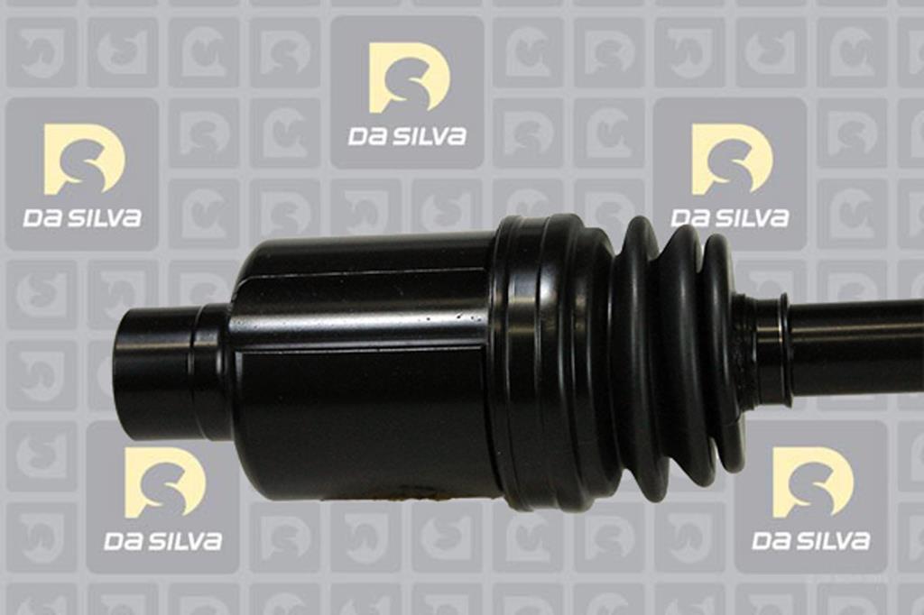 Cardan DA SILVA S.A.S. 31318T