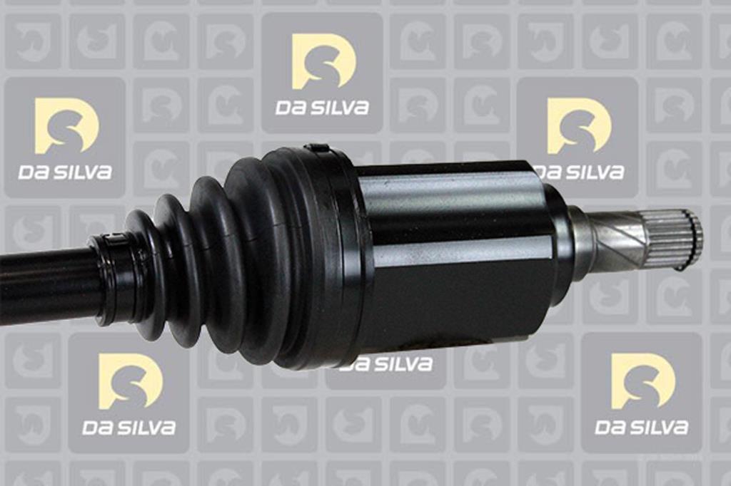 Cardan DA SILVA S.A.S. 31319T