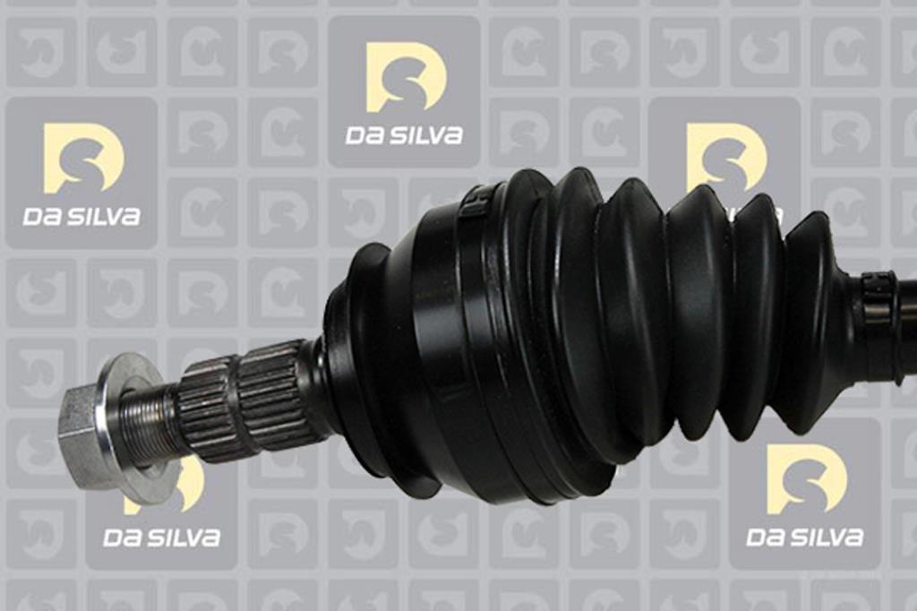 Cardan DA SILVA S.A.S. 31319T