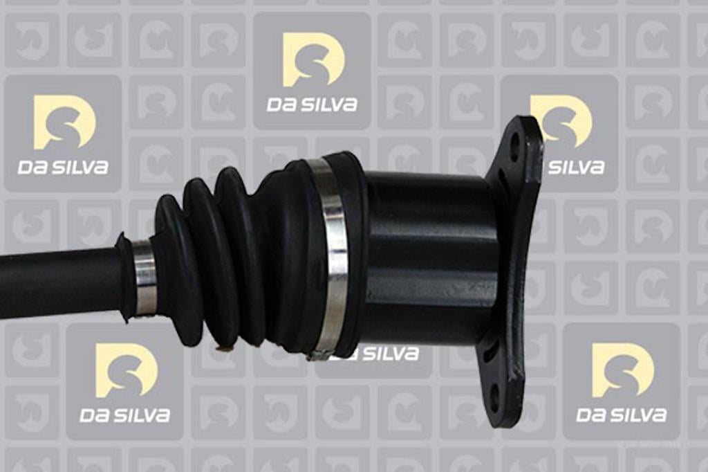 Cardã DA SILVA S.A.S. 31334T