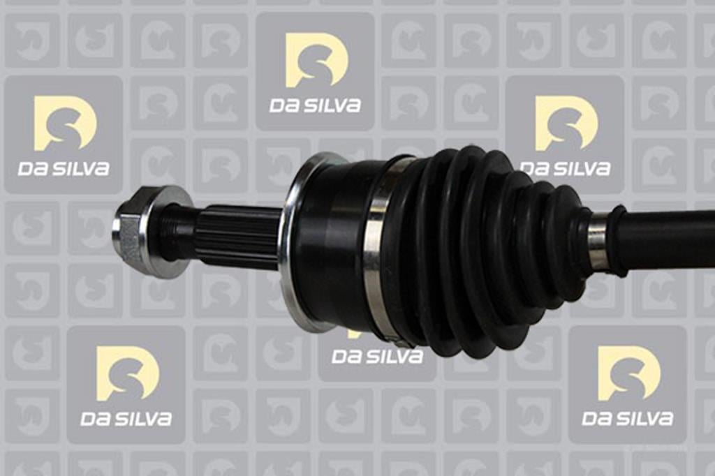 Cardã DA SILVA S.A.S. 31334T