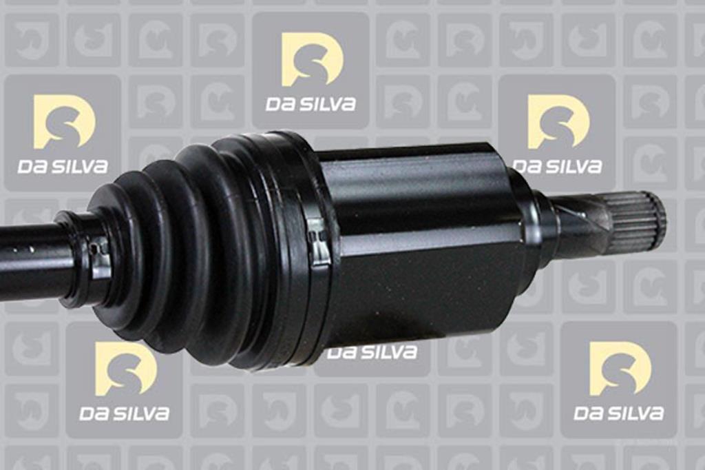 Cardan DA SILVA S.A.S. 31362T