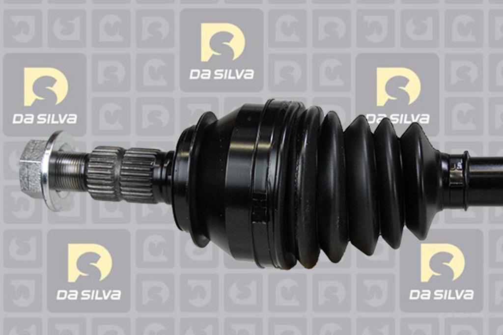 Cardan DA SILVA S.A.S. 31362T
