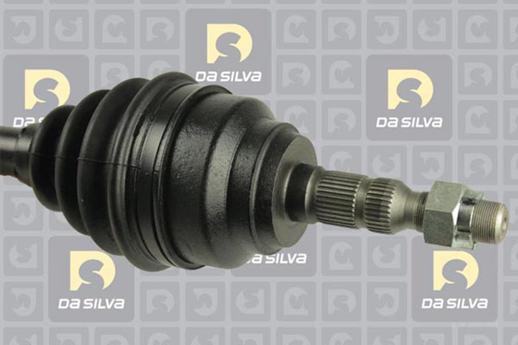 Cardan DA SILVA S.A.S. 31405T