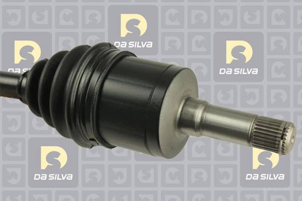 Cardan DA SILVA S.A.S. 31405T