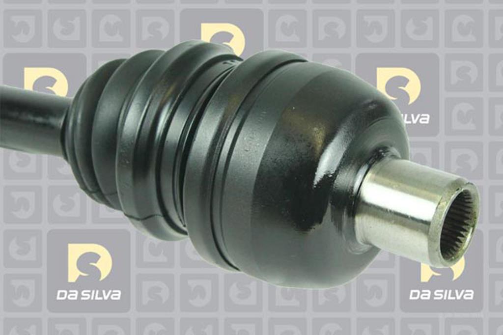 Cardan DA SILVA S.A.S. 31412T