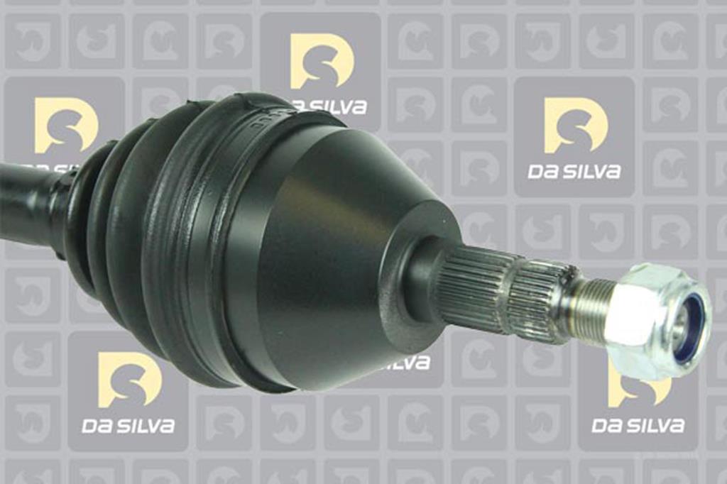 Cardan DA SILVA S.A.S. 31412T