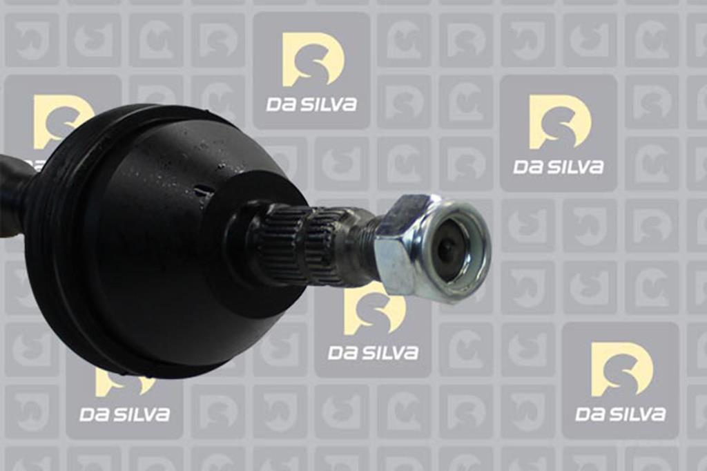 Cardan DA SILVA S.A.S. 31413T