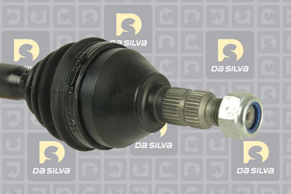 Cardan DA SILVA S.A.S. 31422T