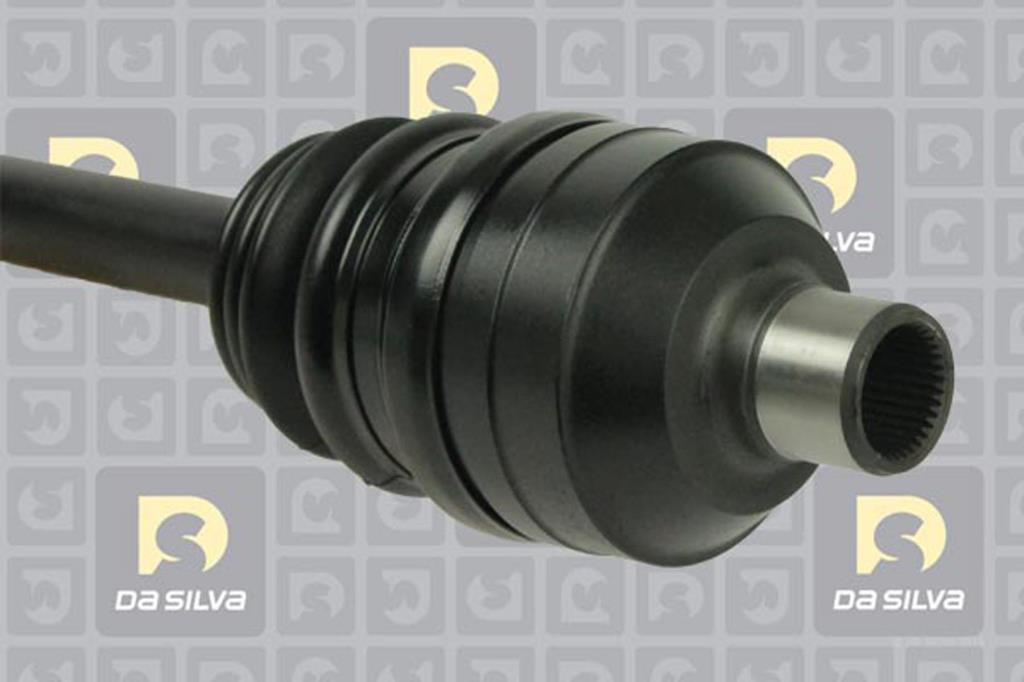 Cardan DA SILVA S.A.S. 31426T
