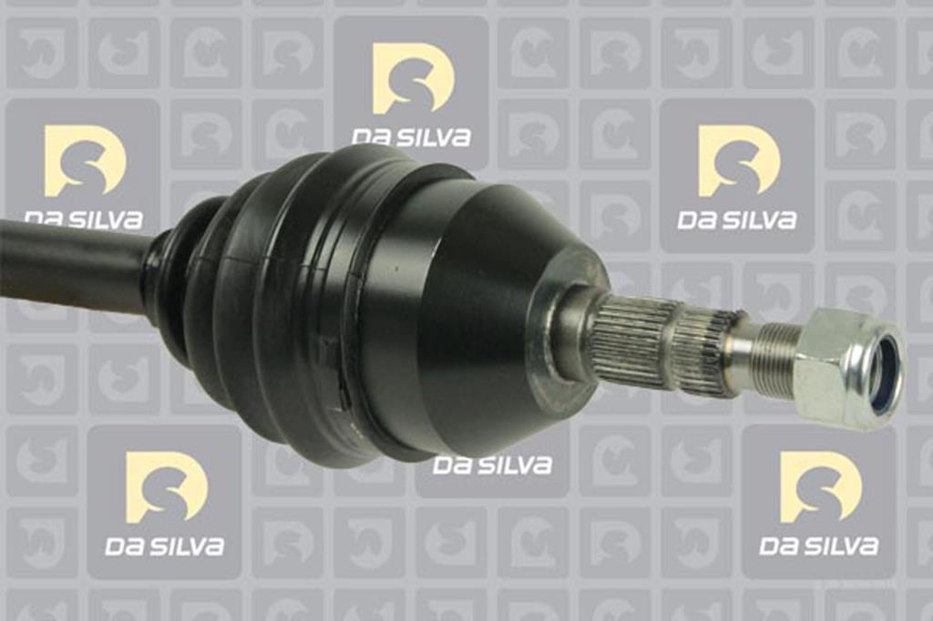 Cardan DA SILVA S.A.S. 31426T