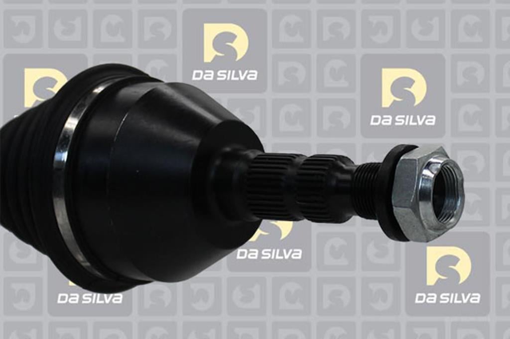 Cardã DA SILVA S.A.S. 31452T