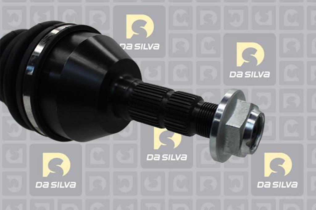 Cardan DA SILVA S.A.S. 31456T
