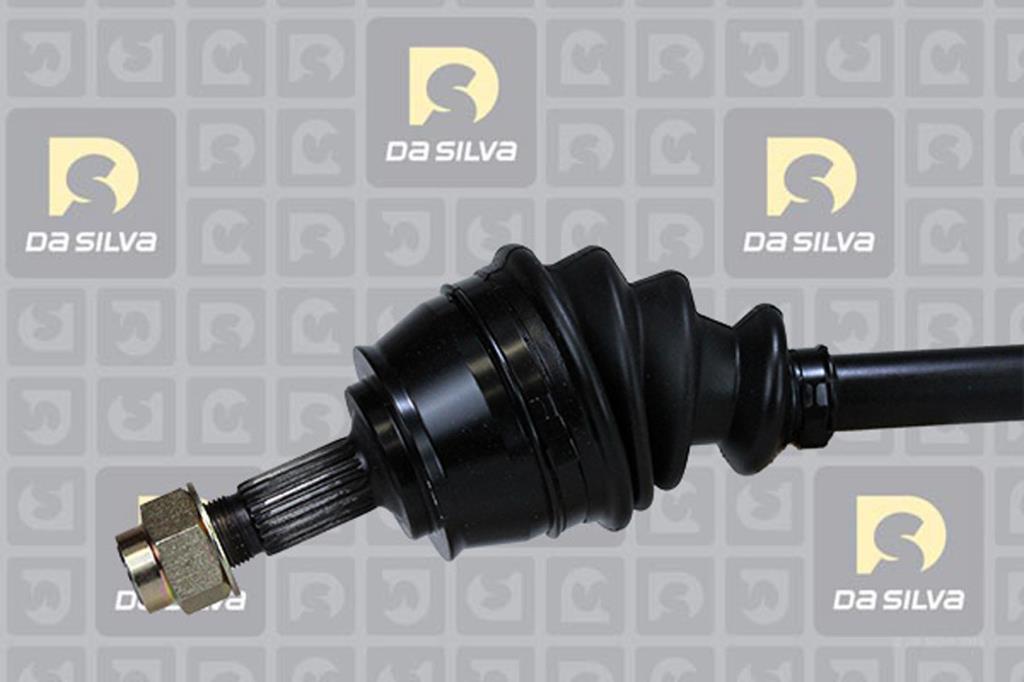 Cardan DA SILVA S.A.S. 31460T