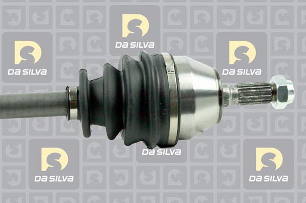 Cardã DA SILVA S.A.S. 320T
