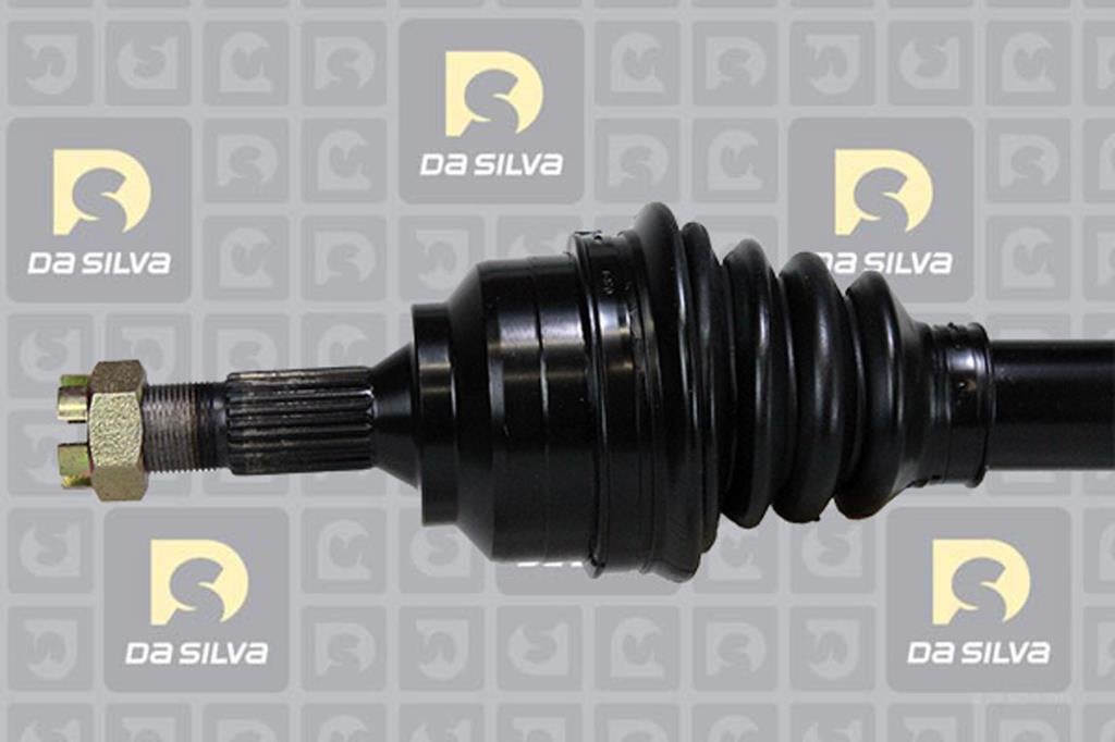 Cardã DA SILVA S.A.S. 3255T